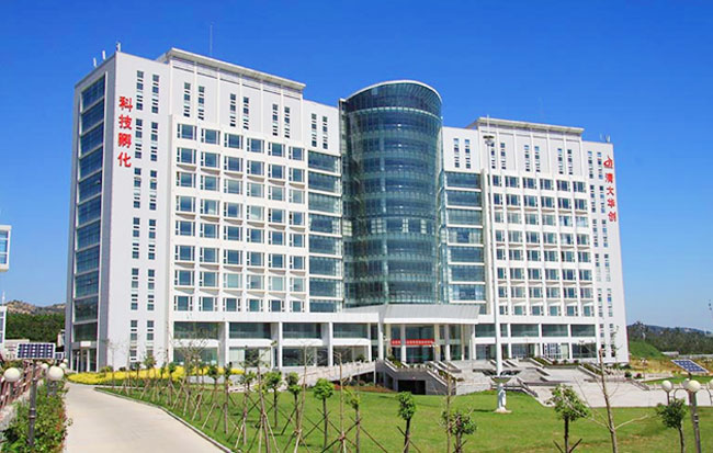 国产精品爽爽久久久久久竹菊