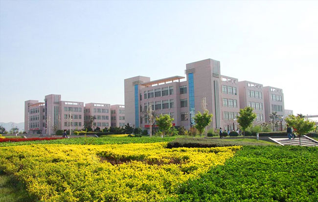 国产精品爽爽久久久久久竹菊