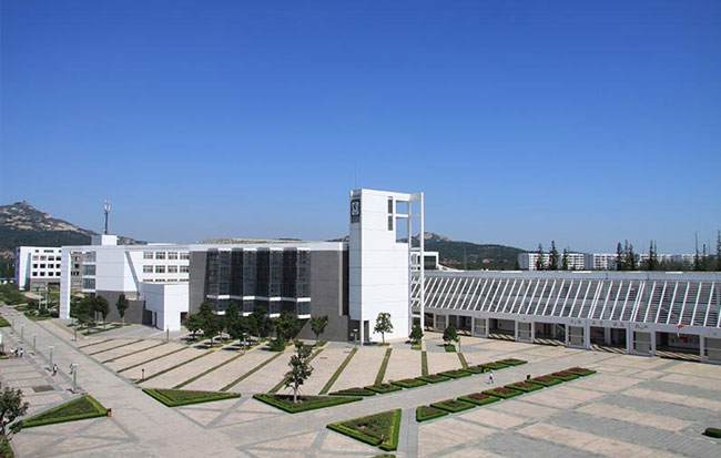 国产精品爽爽久久久久久竹菊