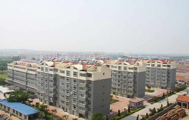 国产精品爽爽久久久久久竹菊