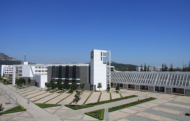 国产精品爽爽久久久久久竹菊