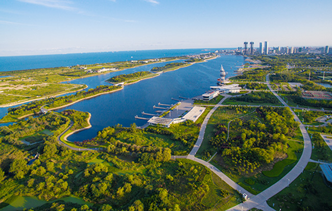 国产精品爽爽久久久久久竹菊