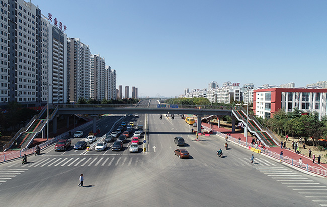 国产精品爽爽久久久久久竹菊