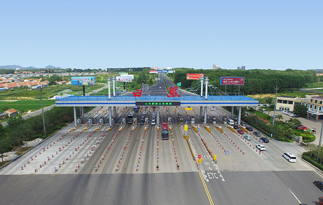 国产精品爽爽久久久久久竹菊