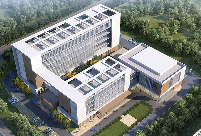 国产精品爽爽久久久久久竹菊