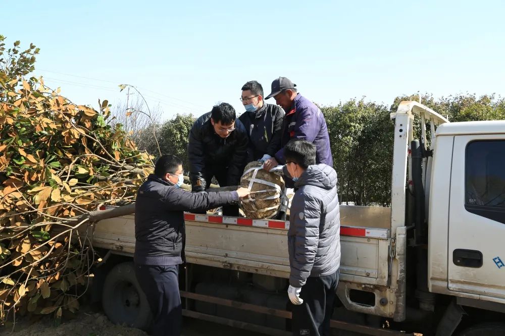 国产精品爽爽久久久久久竹菊