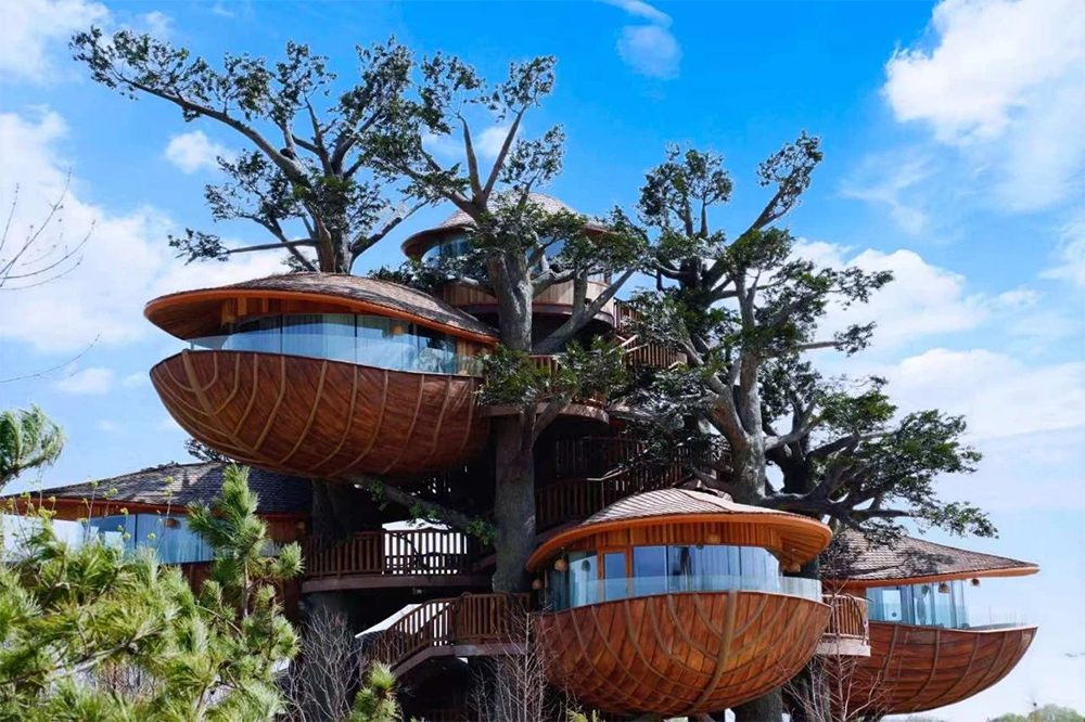 国产精品爽爽久久久久久竹菊