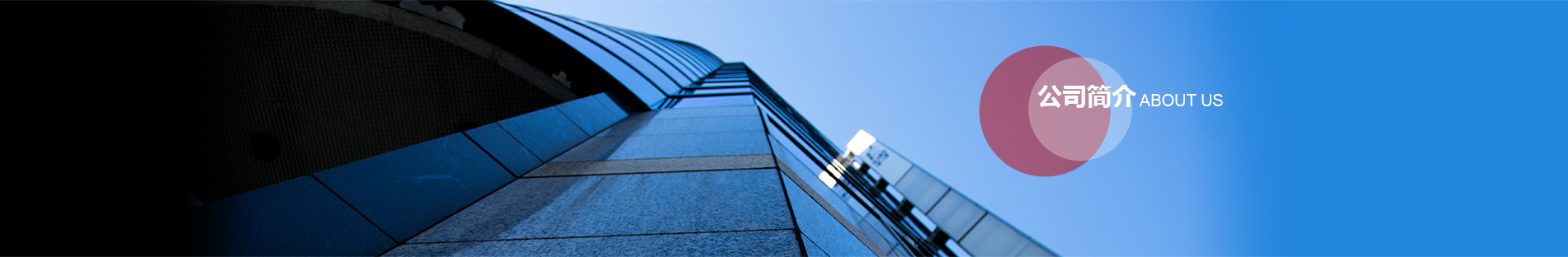 国产精品爽爽久久久久久竹菊